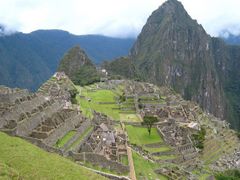 Obří pratučňáci kdysi žili v Peru.