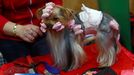 Crufts Dog Show (Birmingham)