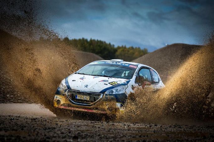 Filp Mareš, Peugeot 208 R2 (2017)