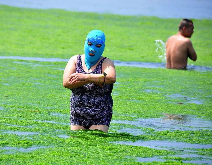 Algae Covered Beaches In China QINGDAO, CHINA - JULY 03: Tourists play at a beach covered by a thick layer of green algae on July 3, 2013 in Qingdao, China. A large quantity of non-poisonous green seaweed, enteromorpha prolifera, hit the Qingdao coast in recent days. More than 20,000 tons of such seaweed has been removed from the city's beaches. PHOTOGRAPH BY China Foto Press / Barcroft Media UK Office, London. T +44 845 370 2233 W www.barcroftmedia.com USA Office, New York City. T +1 212 796 2458 W www.barcroftusa.com Indian Office, Delhi. T +91 11 4053 2429 W www.barcroftindia.com