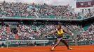 Serena Williamsová na French open 2014