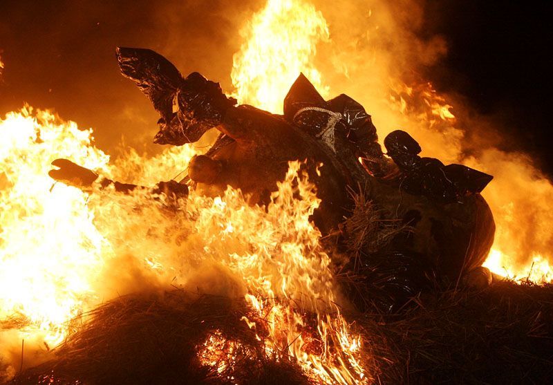 Cvičení hasičů - likvidace chovu krav