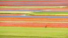 Rozkvetlá letní pole v okolí italské vesnice Castelluccio di Norcia