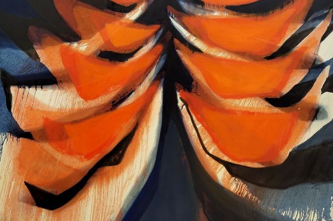 Výstava Lea Dravcová – Žebra(ví).