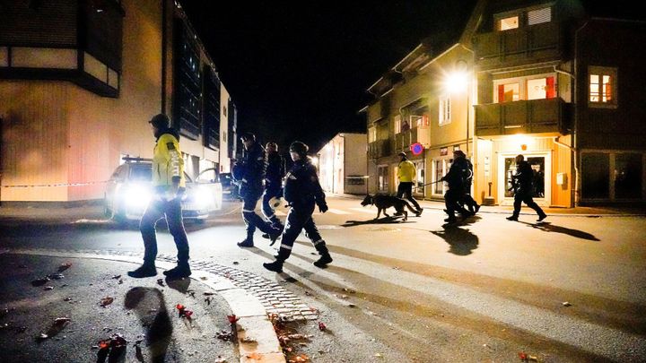 Útočník ozbrojený lukem a šípy v Norsku zabil několik lidí, další vyvázli se zraněním; Zdroj foto: Reuters