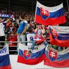 fotbal, kvalifikace ME 2020, Maďarsko - Slovensko, fanoušci Slovenska