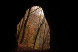 Pohled z jeskyně Kostelík u Býčí skály. Vědci robotické systémy připravovali na extrémní podmínky právě v jeskynním komplexu Býčí skála v Moravském krasu.