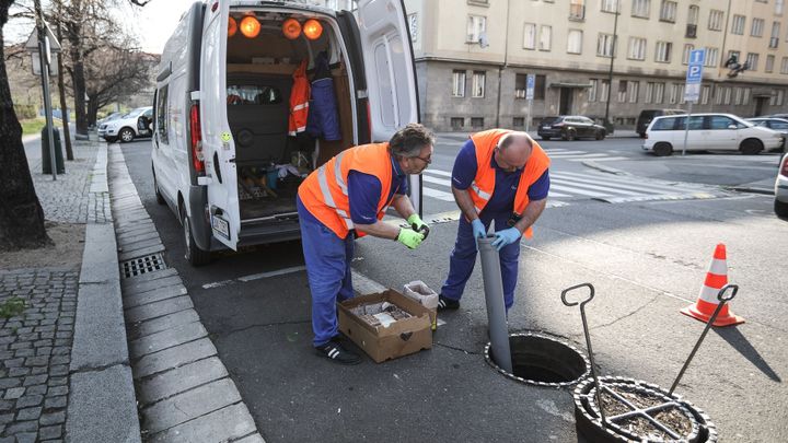 V Gajdošově ulici v Bně praskl vodovod, tvoří se kolony. Oprava potrvá celý den