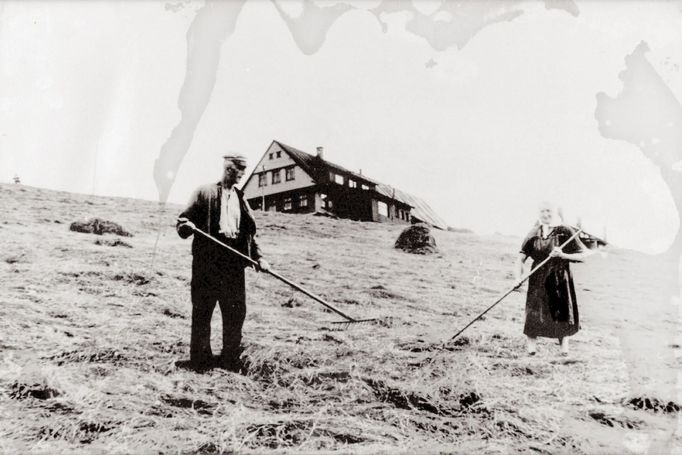 Sklízení sena v okolí Dvořaček v Krkonoších. Historická fotografie, nedatováno.