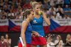 Pála na Fed Cup v Rumunsku nominoval Kvitovou i Karolínou Plíškovou