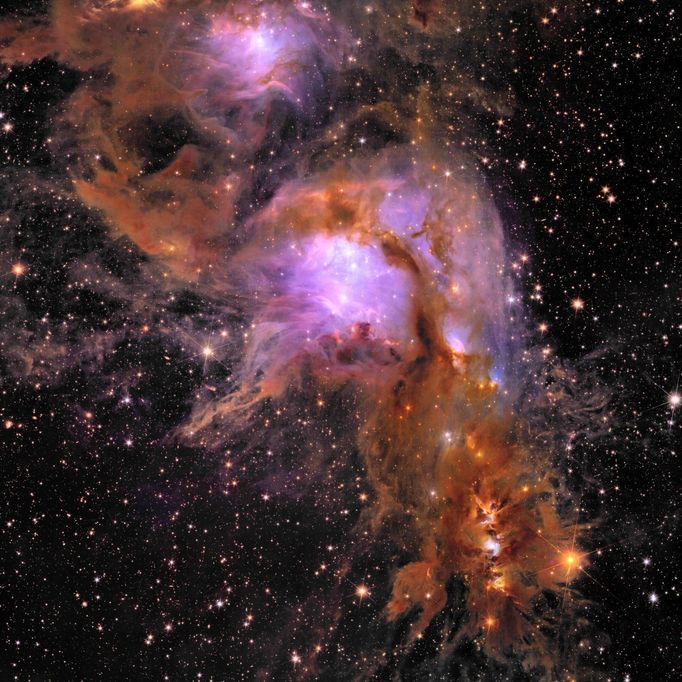 Hvězdotvorná oblast Messier 78