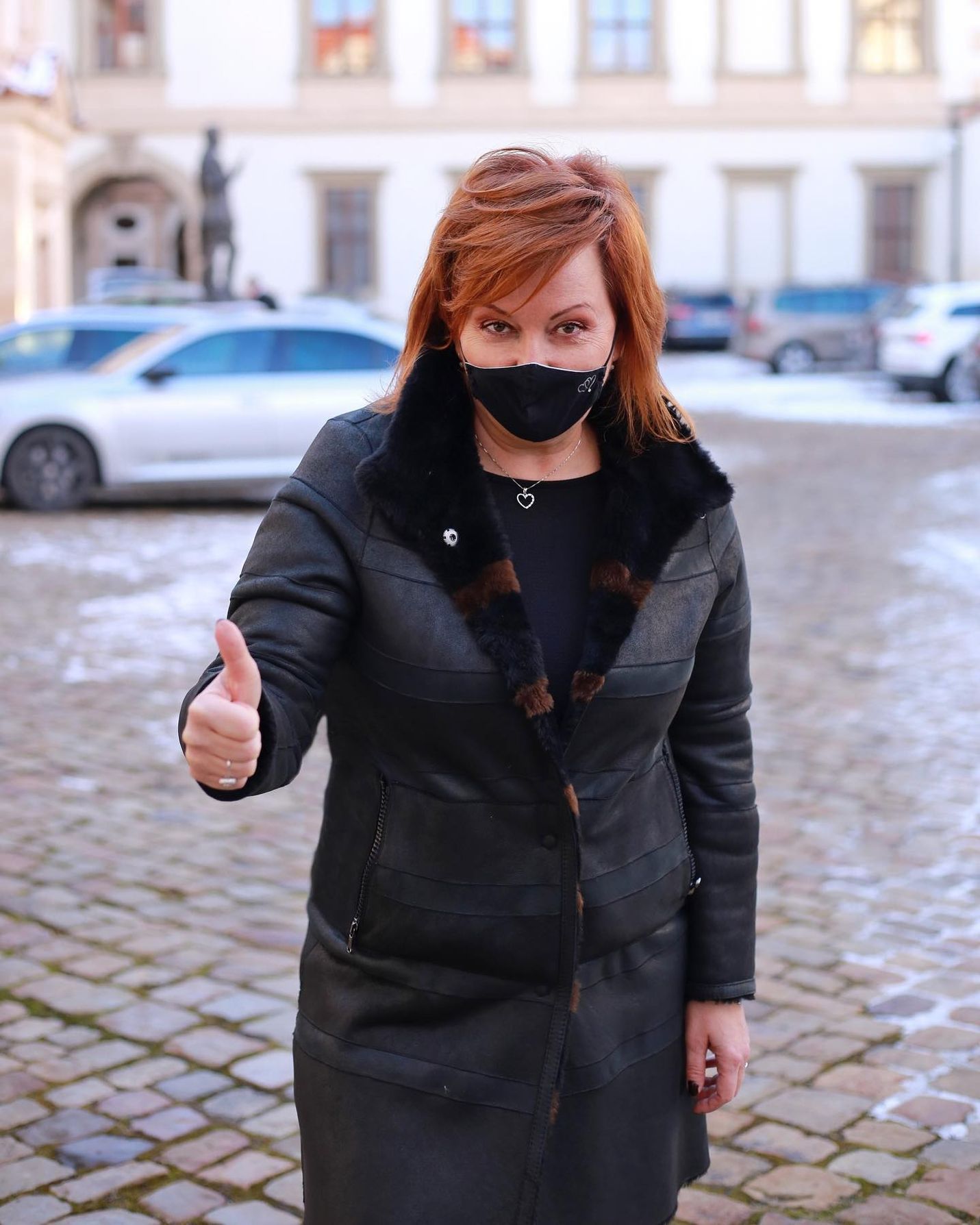 alena schillerová audit