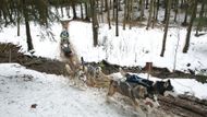 Tedy obvykle. Letošní ročník byl bohužel od začátku poznamenaný oblevou, jež nakonec donutila organizátory závod předčasně ukončit již po dvou dnech.