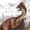 Dinosaurus Anzu wyliei