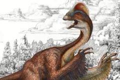 Nově objevený dinosaurus vypadá jako slepice z noční můry