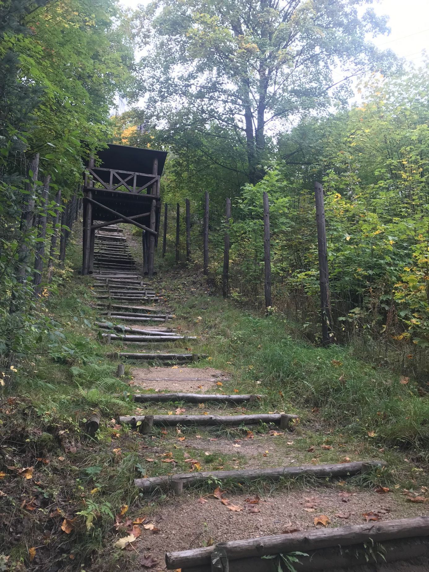 Replika takzvaných "Mauthausenských schodů", po kterých vězni kdysi scházeli do dolu Svornost.