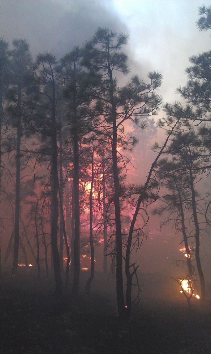 A fire burns in the Gila National Forest in this handout image courtesy of the United States Forest Service dated May 27, 2012. The so-called Whitewater-Baldy Complex fire was ignited by lightning on May 16, fire officials said. Picture taken May 27, 2012. REUTERS/USFS/Steven Meister/Handout (UNITED STATES - Tags: ENVIRONMENT DISASTER) FOR EDITORIAL USE ONLY. NOT FOR SALE FOR MARKETING OR ADVERTISING CAMPAIGNS. THIS IMAGE HAS BEEN SUPPLIED BY A THIRD PARTY. IT IS DISTRIBUTED, EXACTLY AS RECEIVED BY REUTERS, AS A SERVICE TO CLIENTS Published: Kvě. 30, 2012, 7:42 odp.