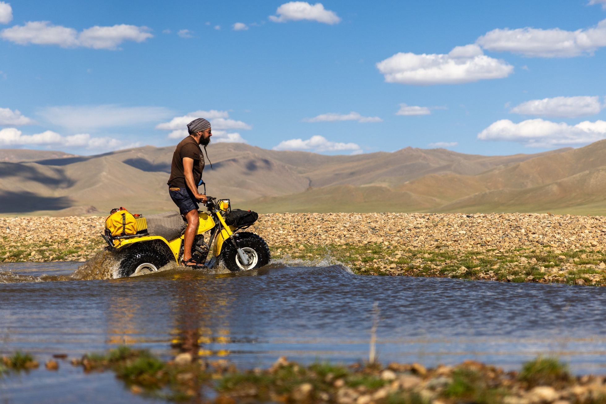 Žlutá žába pluje
