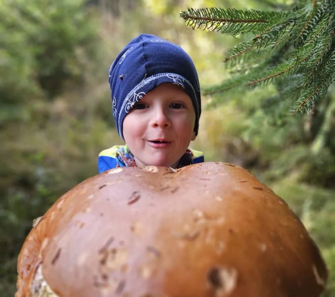 Rekordní hřib dubový ze slovenského Liptova.