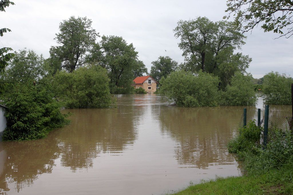 Evakuace Zálezlic