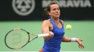 Fed Cup 2017: Barbora Strýcová