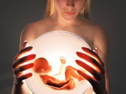 Dítě, plod, těhotenství