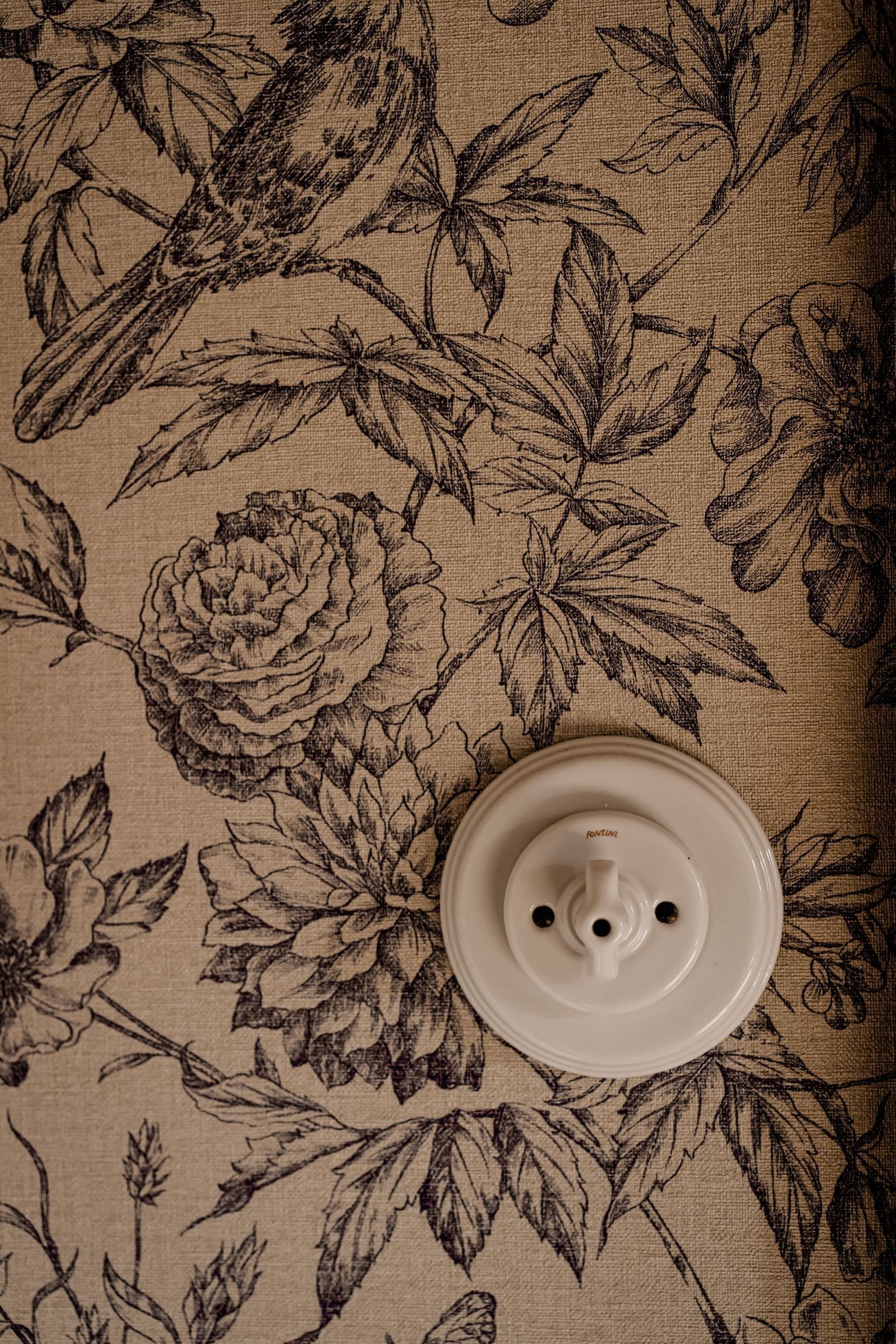 domeček v chaloupkách, dům, rekonstrukce, vesnice, stavení, ateliér, apartmán