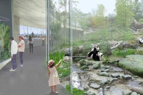 Podívejte se, jak bude vypadat pandárium v trojské zoo. Součástí bude i čínská restaurace