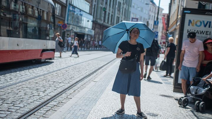 Vědec: Praha je jako topeniště. Ochladí ji stromy, ale sázet jich milion je nesmysl; Zdroj foto: Tomáš Kouba