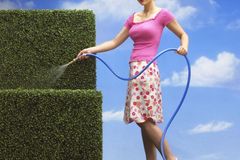 Se zaléváním zahrady pomůže automatické zavlažování