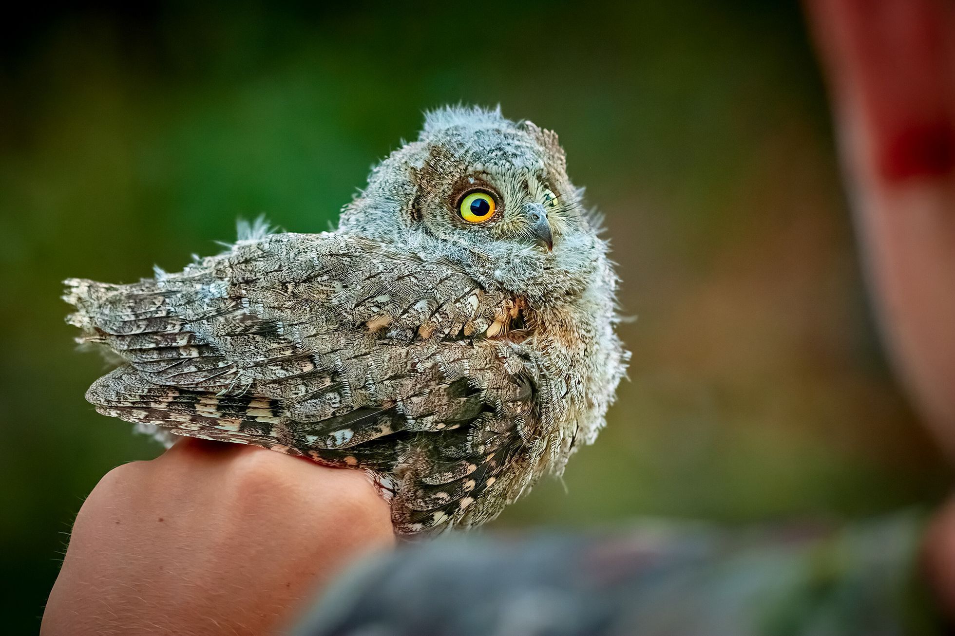 Nominace na ceny Czech Nature Photo 2022