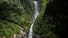 Národní park Nyungwe, Rwanda