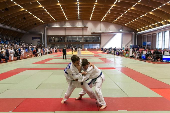 Judo, Grand Prix Ostrava 2017