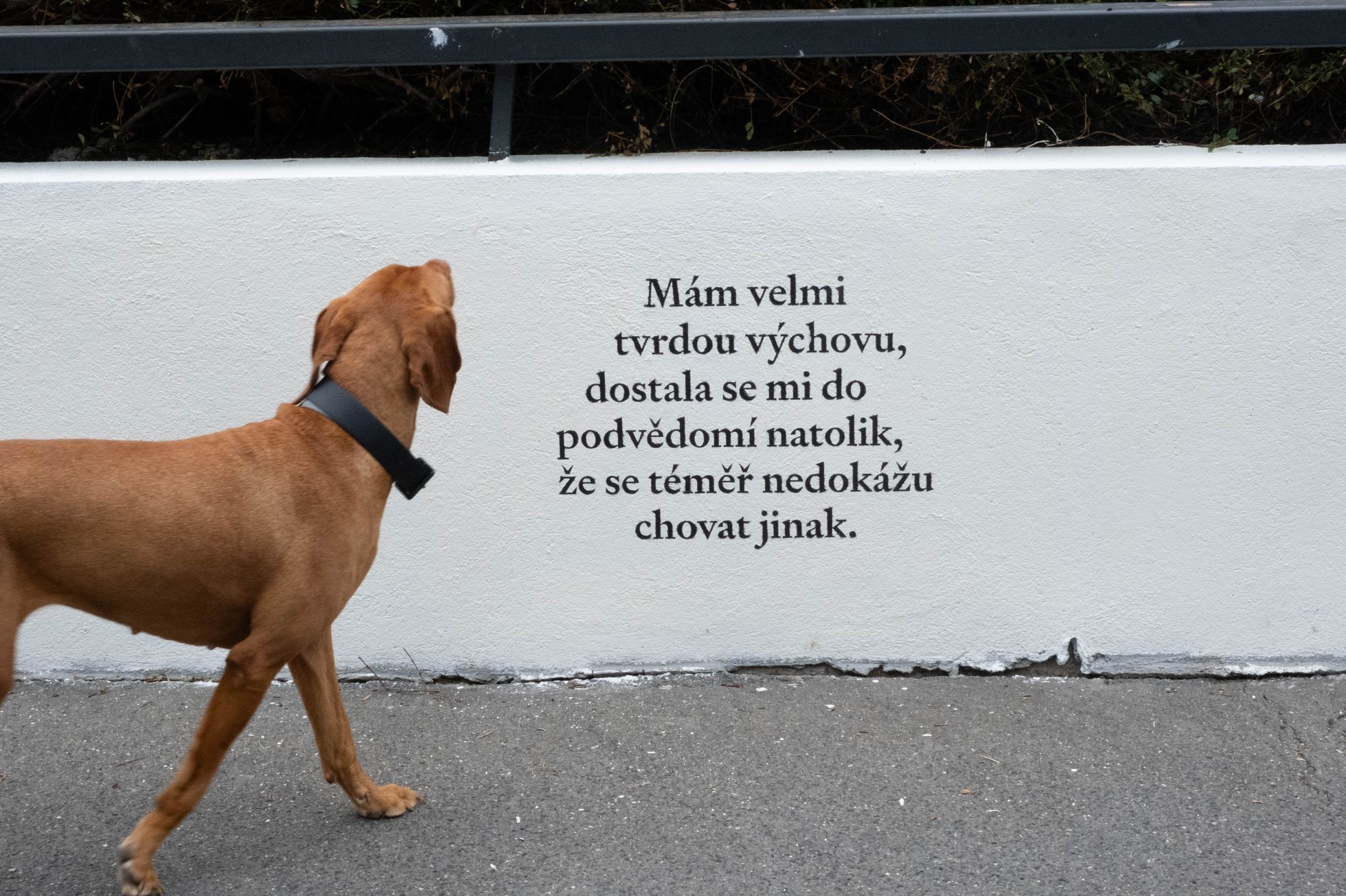 Fügnerovo náměstí