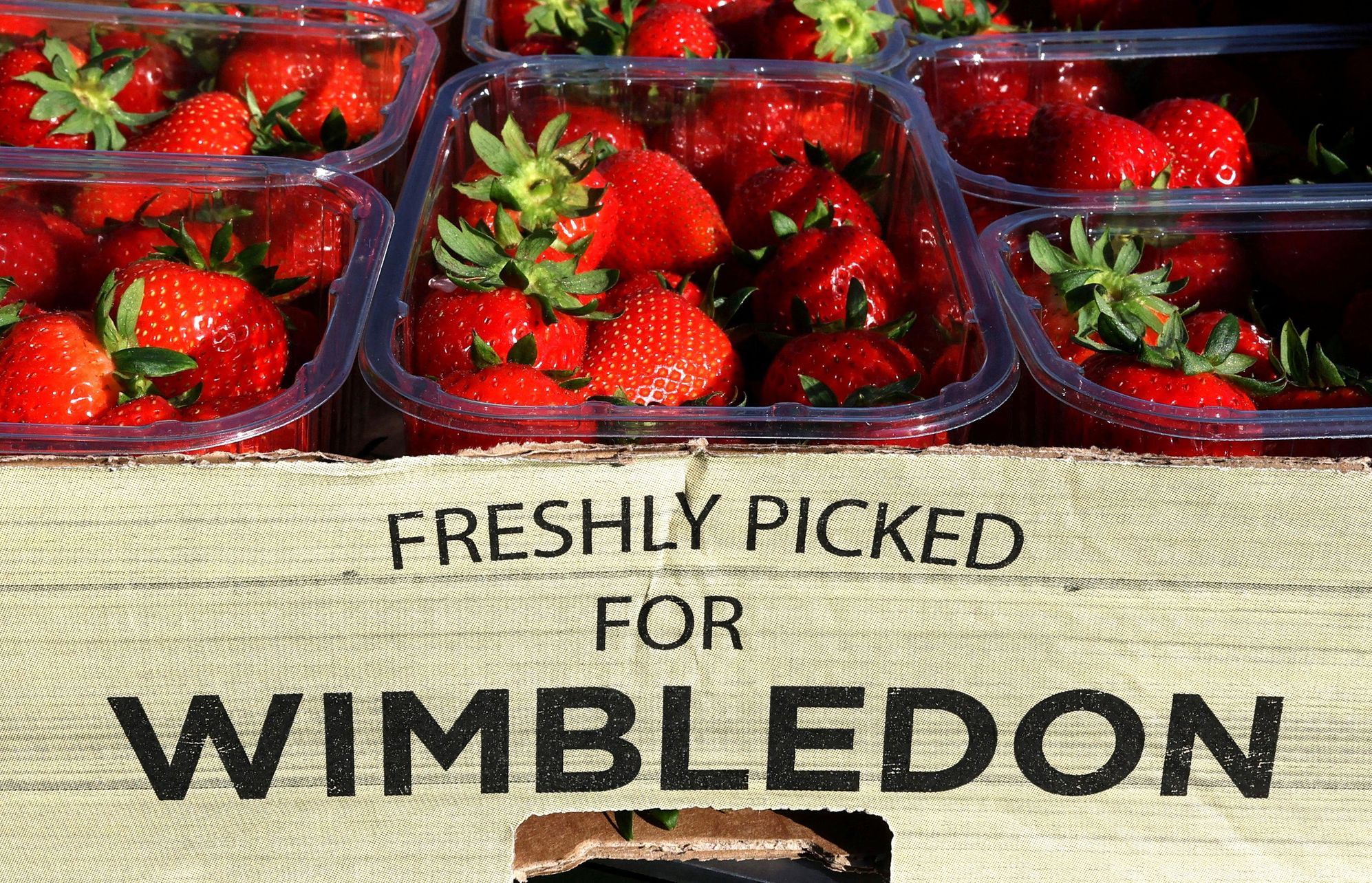 Wimbledon, fanoušci, styl, jahody, 2025