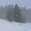 První jarní den  - sníh, chumelenice na horách