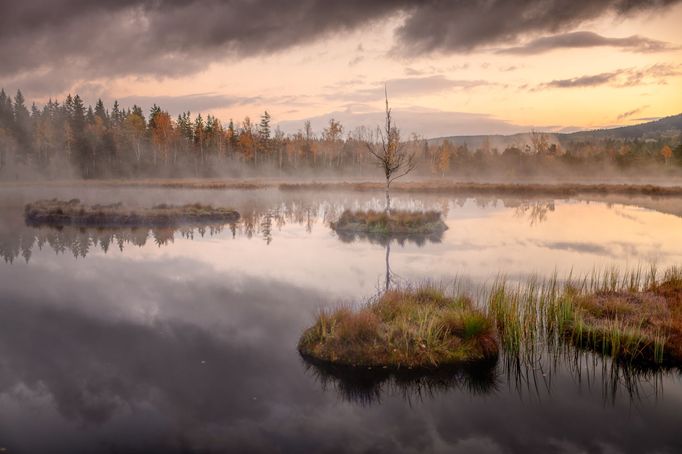 TOP Foto 2023: Rok očima fotografa Richarda Horáka