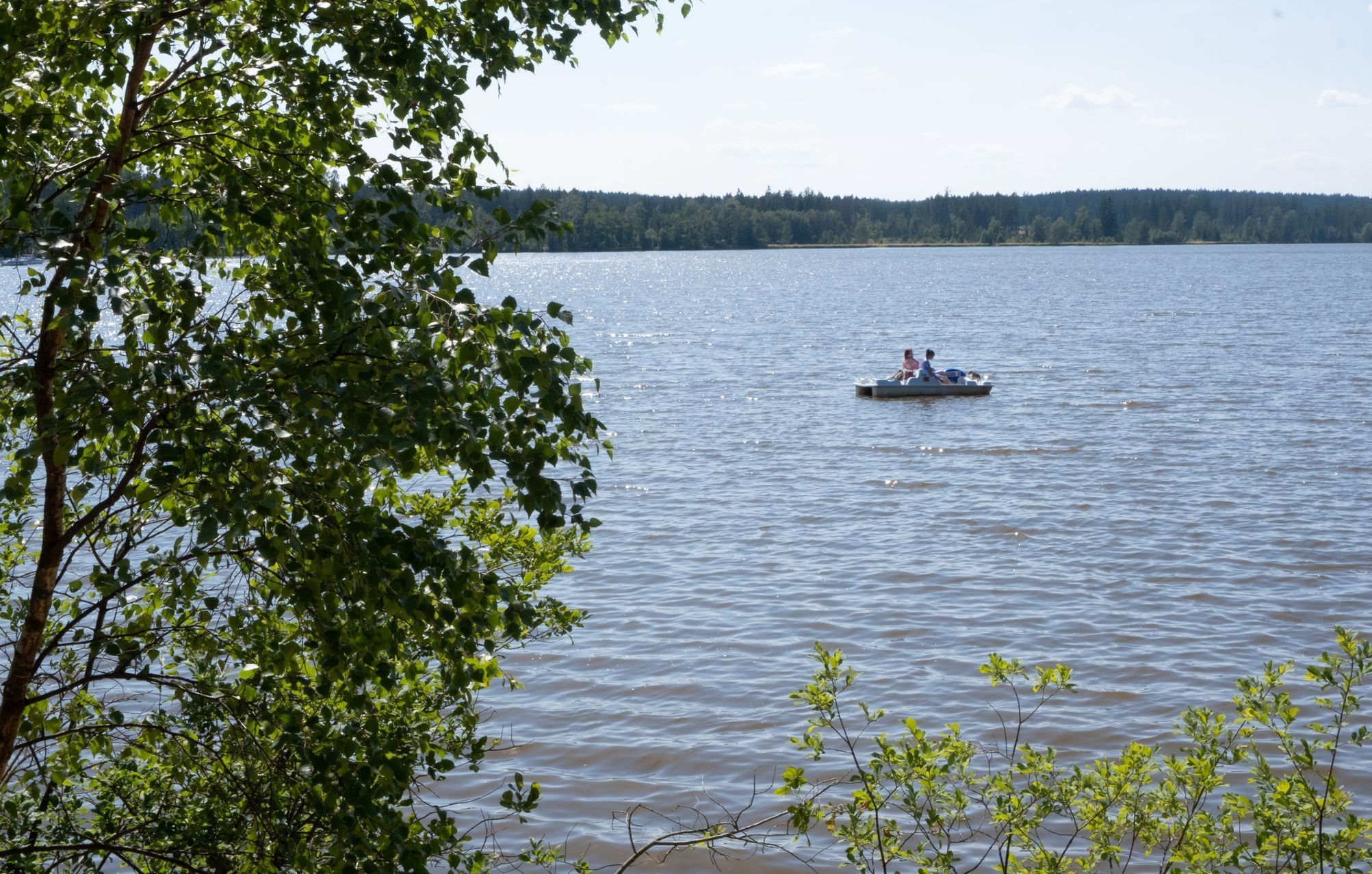 Moře Vysočiny - Velké Dářko