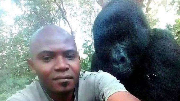 Gorily se ochotně fotily se svým zachráncem.