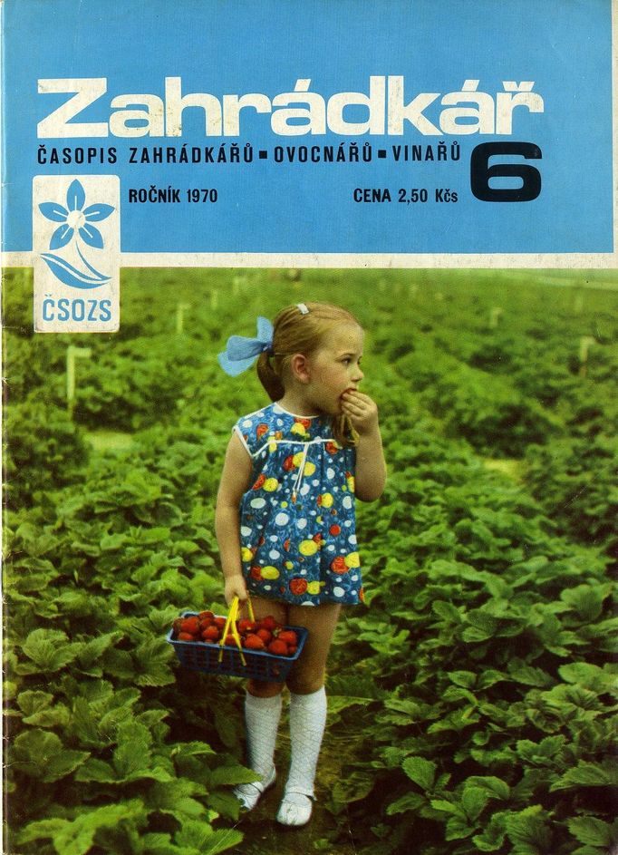 Zahrádkář, časopis zahrádkářů, ovocnářů, vinařů, číslo 6, ročník 1970, vydal Český ovocnářský a zahrádkářský svaz, foto na obálce M. Harant