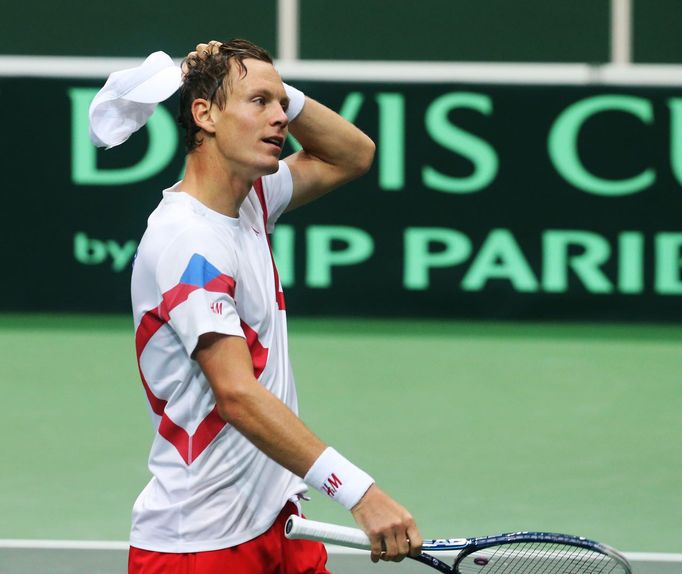 Davis Cup - Česko vs. Nizozemí (česká radost)