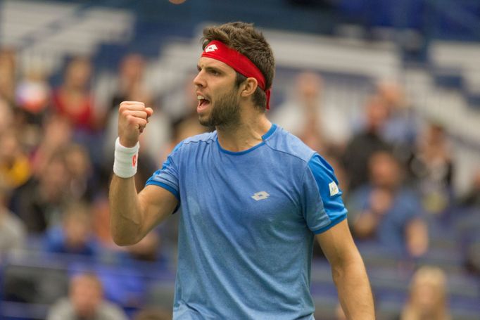 Davis Cup - čtyřhra