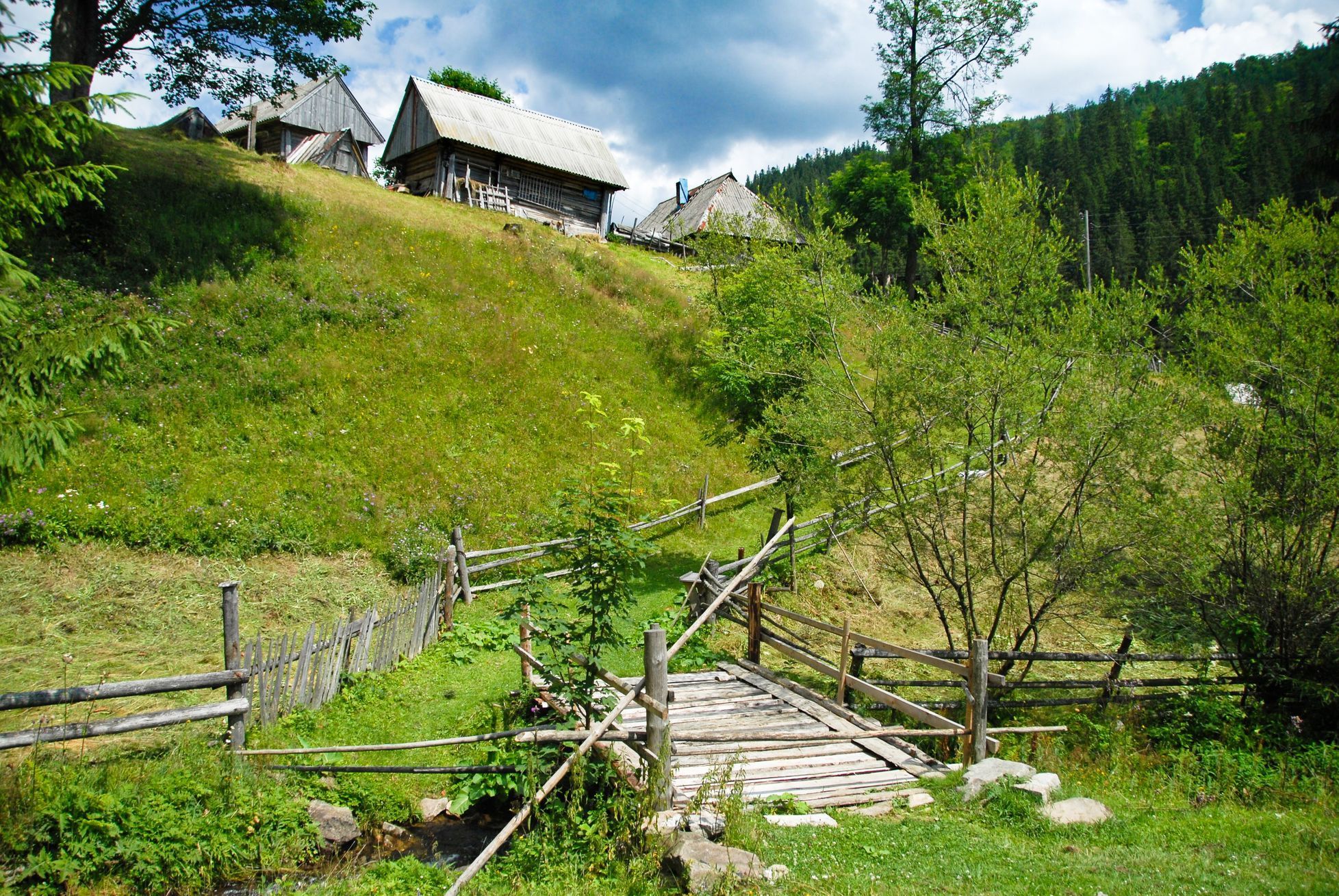 Podkarpatská Rus, Koločava, Nikola Šuhaj