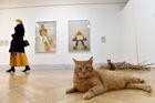 Na výstavě děl Ester Krumbachové se procházejí kočky z útulku.