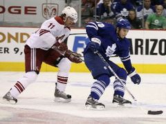 Český hokejista Phoenixu Martin Hanzal (vlevo) se pokouší obrat o puk Alexe Steena z Toronta.