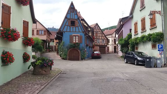 Městečko Bergheim leží v Alsasku obklopené vinicemi.