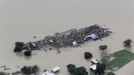 Domesticated animals are seen stranded on an islet in the flooded areas of the Sonitpur district in the northeastern Indian state of Assam July 1, 2012. Incessant heavy rains in northeast India have caused massive flooding and landslides, killing more than 60 people, local media reported on Sunday. Picture taken July 1, 2012. REUTERS/Stringer (INDIA - Tags: DISASTER ENVIRONMENT ANIMALS) Published: Čec. 2, 2012, 7:31 dop.