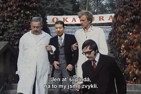 Vtipy na prezidentské kandidáty a prezidentské volby
