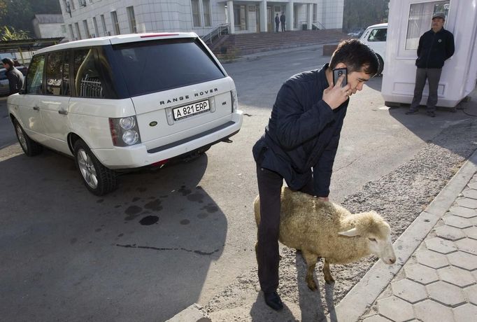 A man speaks on a phone as he holds a sheep for slaughtering after Kurban-Ait, also known as Eid al-Adha in Arabic, prayer in front of Central Mosque in Almaty October 26, 2012. Muslims around the world celebrate Eid al-Adha, marking the end of the haj, by slaughtering sheep, goats, cows and camels to commemorate Prophet Abraham's willingness to sacrifice his son Ismail on God's command. REUTERS/Shamil Zhumatov (KAZAKHSTAN - Tags: RELIGION SOCIETY) Published: Říj. 26, 2012, 7:29 dop.