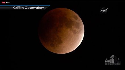 VIDEO: Modrý krvavý superúplněk. Úžasný jev mohla sledovat půlka planety